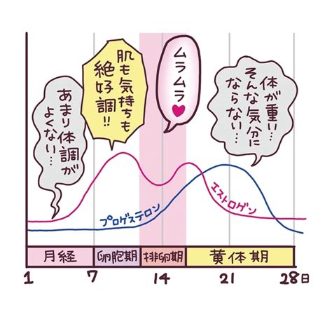 生理 と 性欲|生理中は性欲がやたら強くなる一体 .